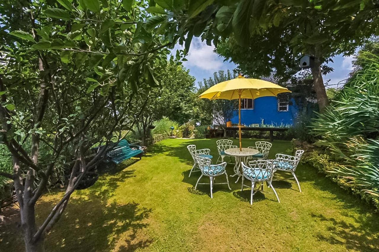 Stayvista At Violet Hill With Bonfire, Gazebo & Hill View Shimla Exterior foto